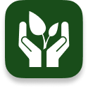 Plantful-Mobile-App-Icon